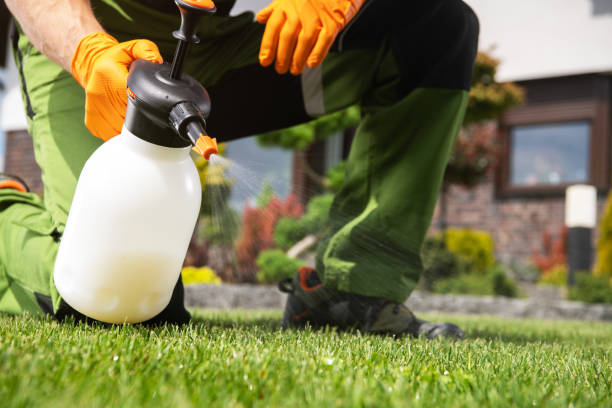 Trusted St Peter, WI Pest Control Experts