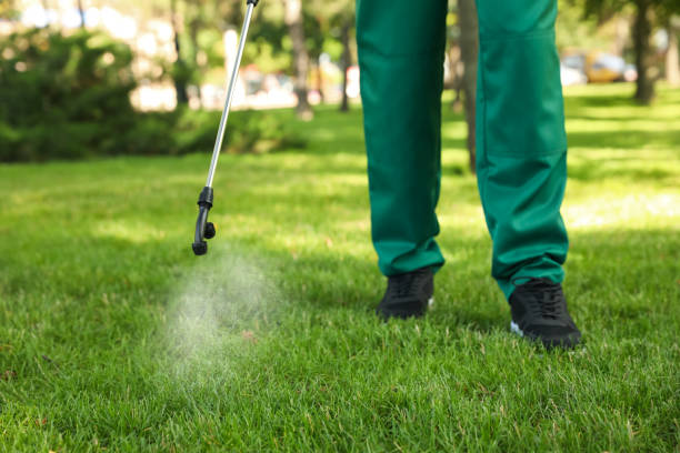 Best Pest Inspection Near Me  in St Peter, WI