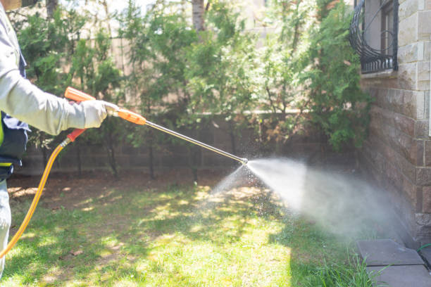 Best Pest Control Near Me  in St Peter, WI